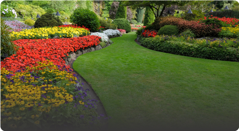 Landscape Design
