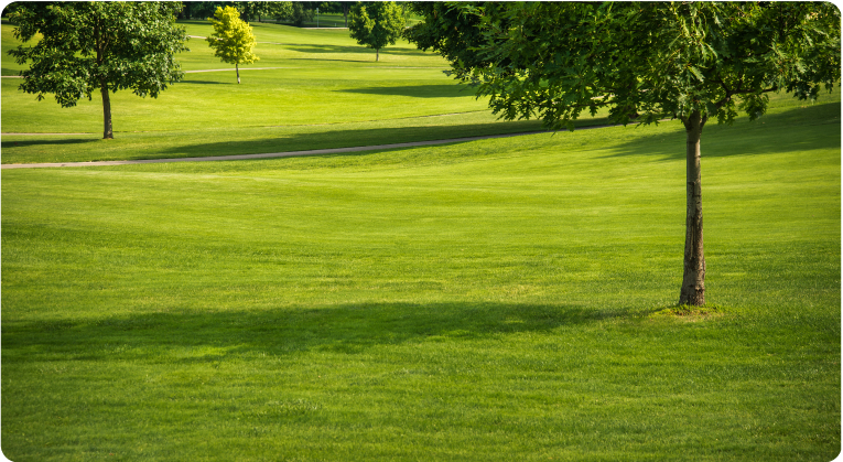 Lawncare