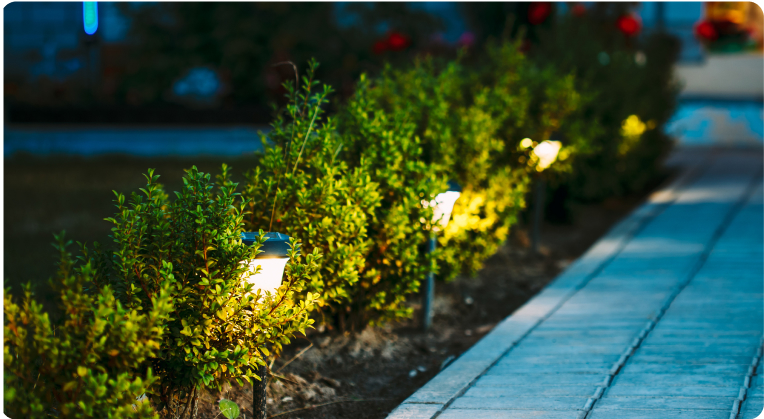 Landscape Lighting